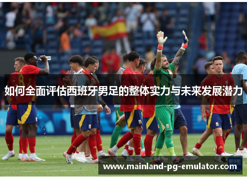 如何全面评估西班牙男足的整体实力与未来发展潜力