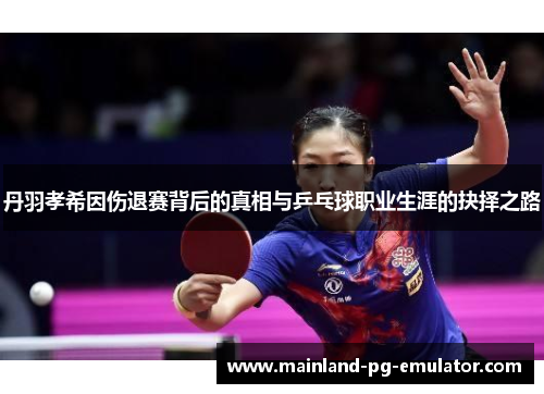 丹羽孝希因伤退赛背后的真相与乒乓球职业生涯的抉择之路