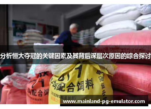 分析恒大夺冠的关键因素及其背后深层次原因的综合探讨