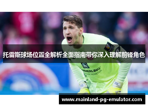 托雷斯球场位置全解析全面指南带你深入理解前锋角色
