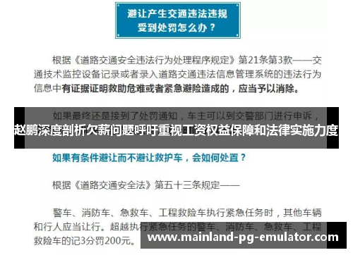 赵鹏深度剖析欠薪问题呼吁重视工资权益保障和法律实施力度