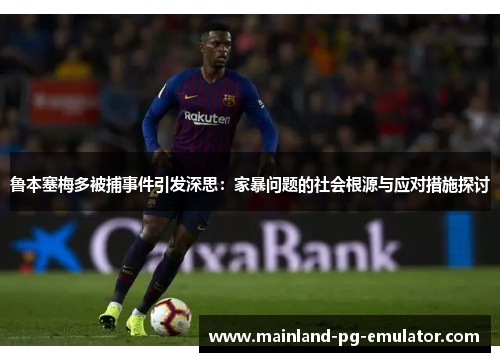 鲁本塞梅多被捕事件引发深思：家暴问题的社会根源与应对措施探讨
